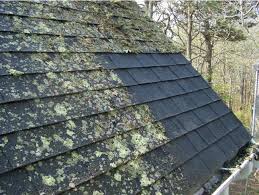 roofcleaning